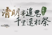 清明節(jié)專題活動策劃方案